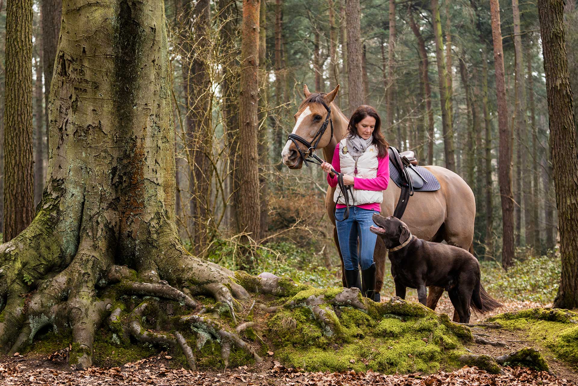 Horse and dog portrait photography in Harlestone Firs
