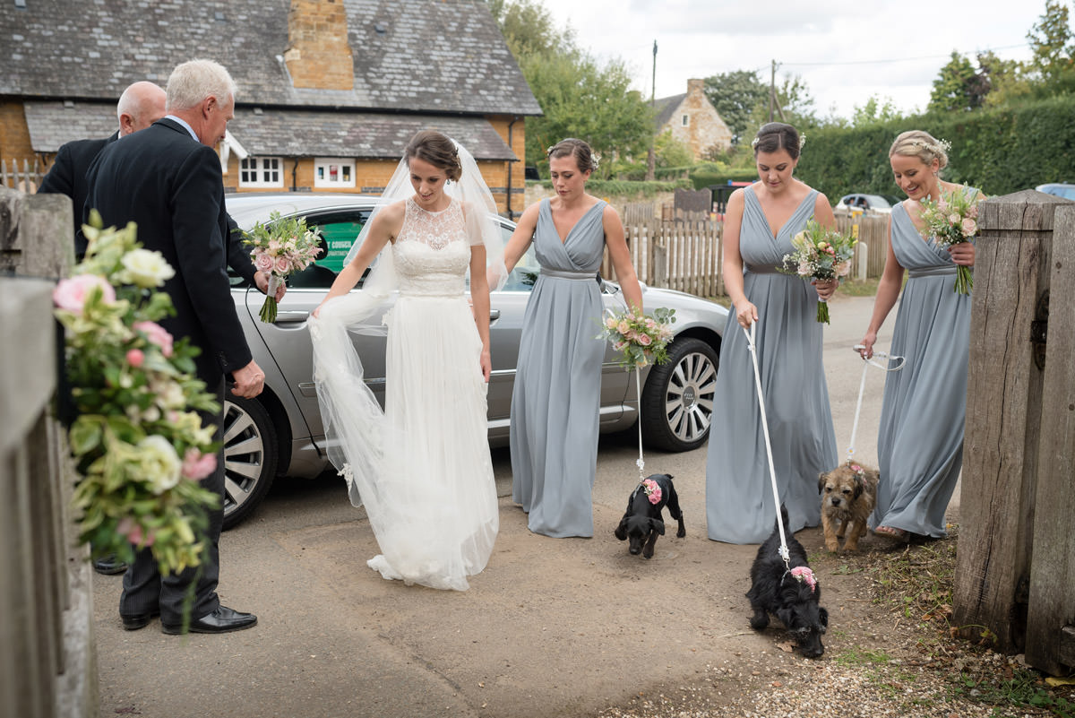 Bride arriving at church with her bridesmaids and dogs as flower girls