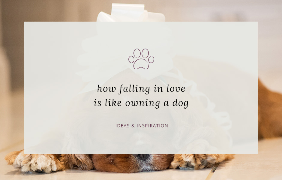 A wedding ceremony reading for dog lovers | Sarah Vivienne Photography