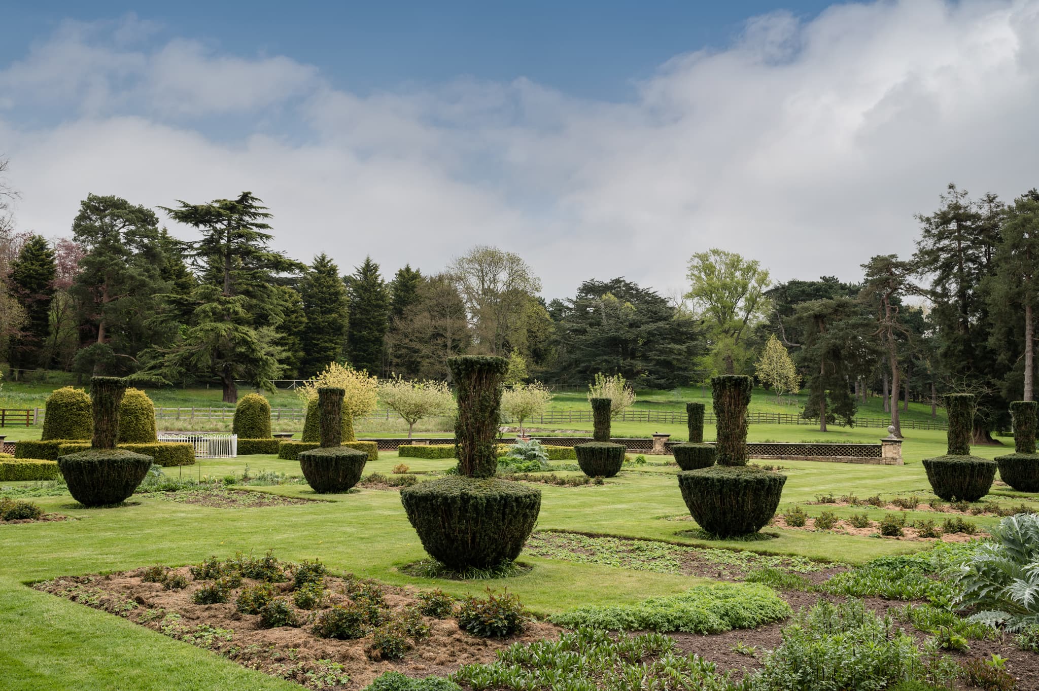 Topiary in the garden at Sutton Bonington Hall