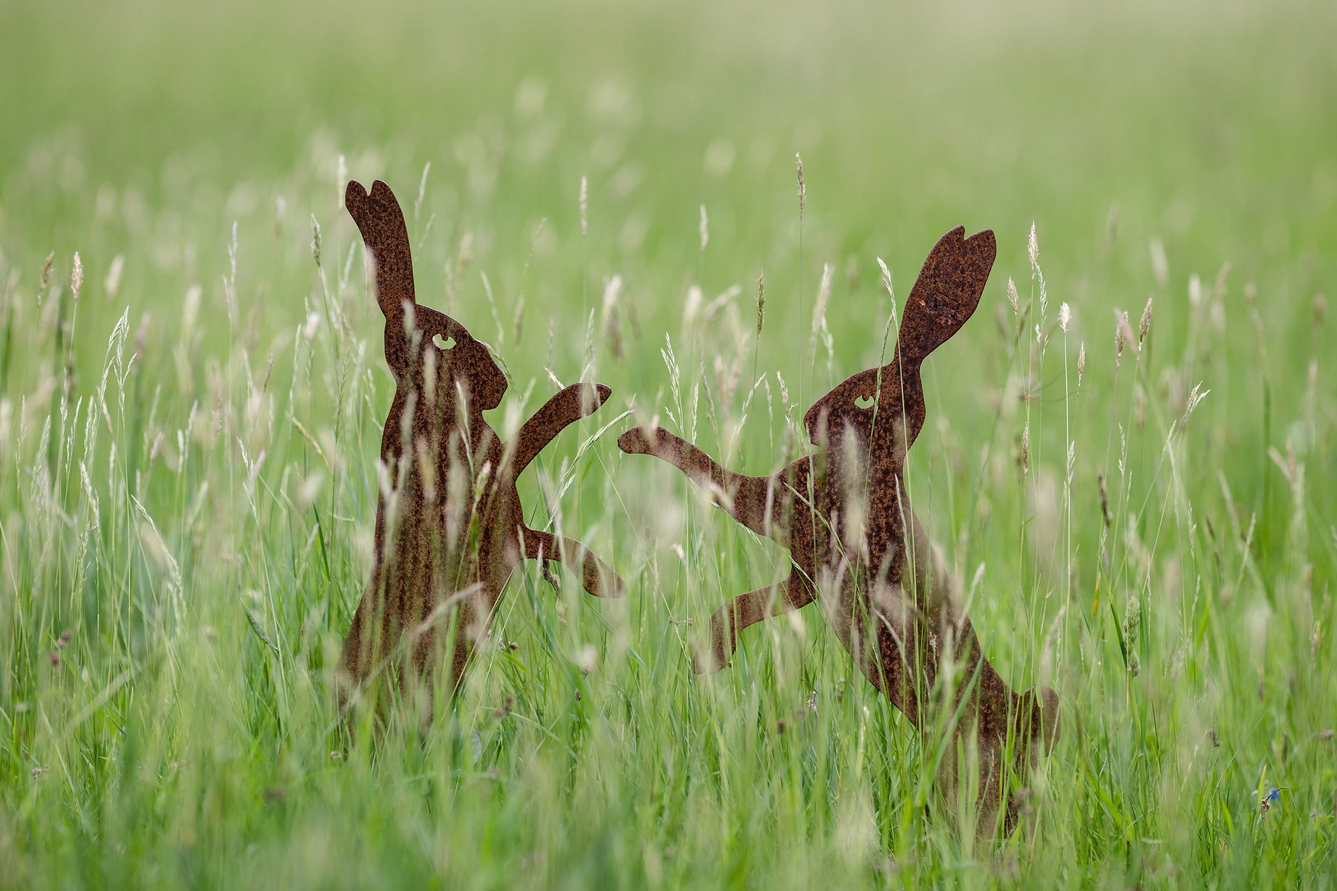 Metal cutouts of a pair of boxing hares in long grass