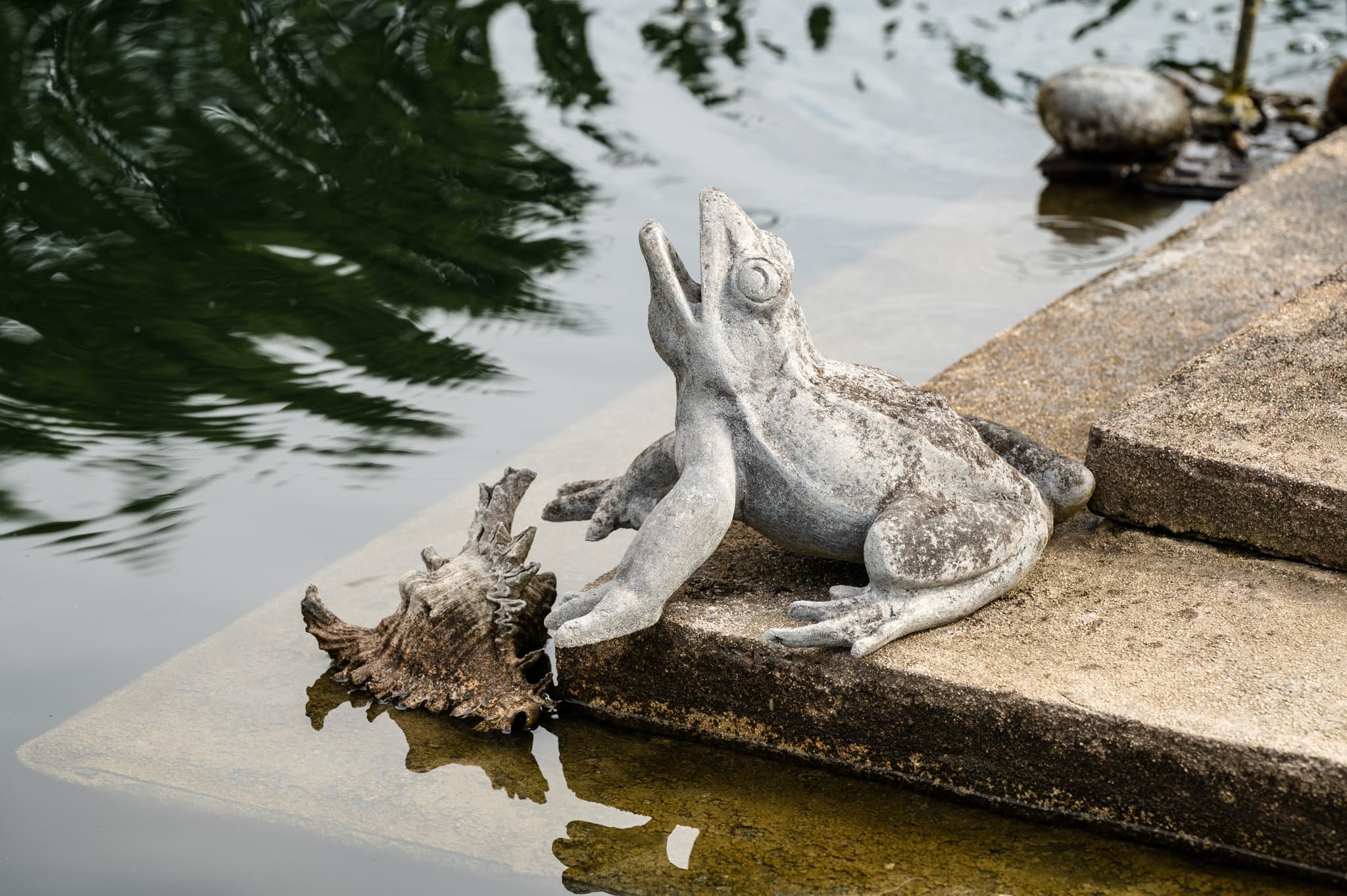 Frog and shell garden pond ornaments