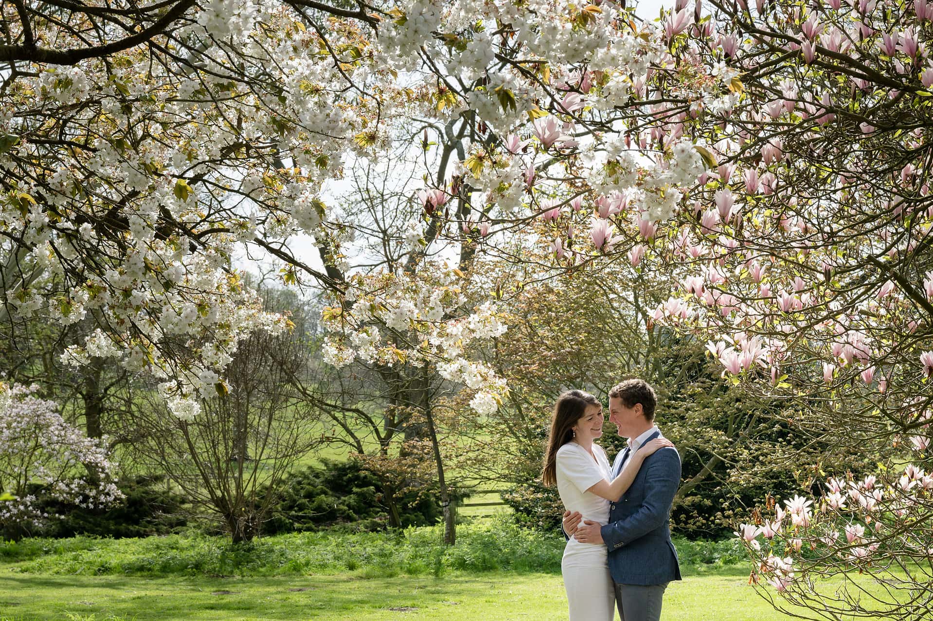 Engaged couple cuddled up under a blossom tree in the grounds of Courteenhall