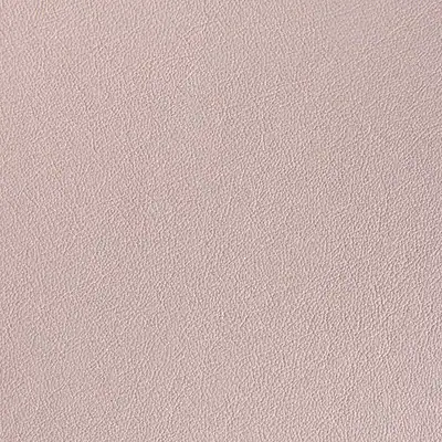 Wedding photo album cover swatch in 'Blush'