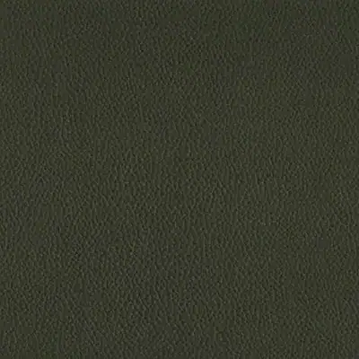 Wedding photo album cover swatch in 'Forest Green'