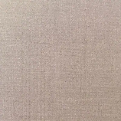 Wedding photo album cover swatch in 'Champagne'